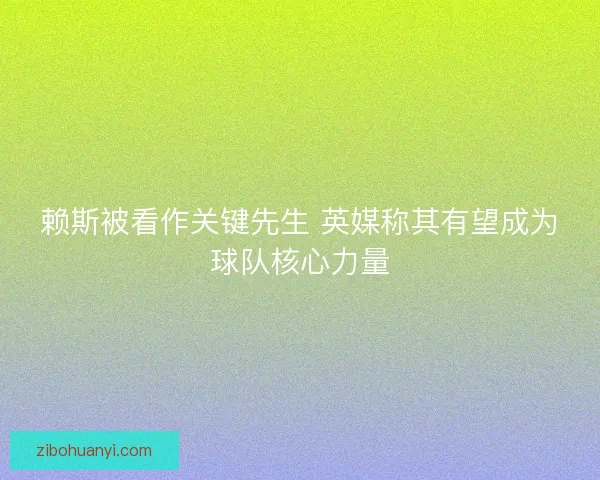 赖斯被看作关键先生 英媒称其有望成为球队核心力量